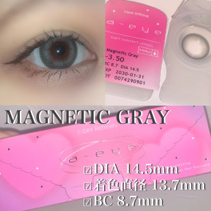a-eye 1 Day 10 Magnetic Gray ワンデーリフレア エーアイ マグネティックグレー